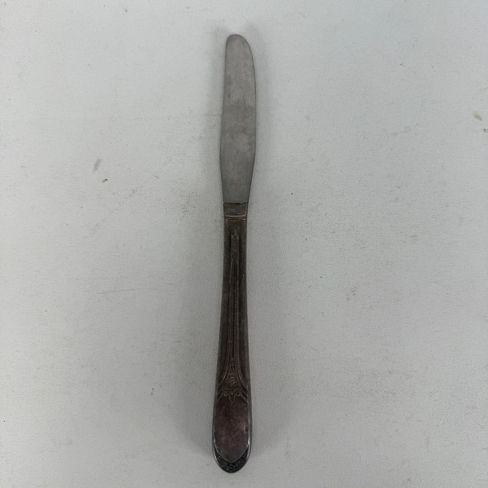 International Silverplate BUTTER KNIFE Mary Lou Devonshire Wm Rogers 8 1/2